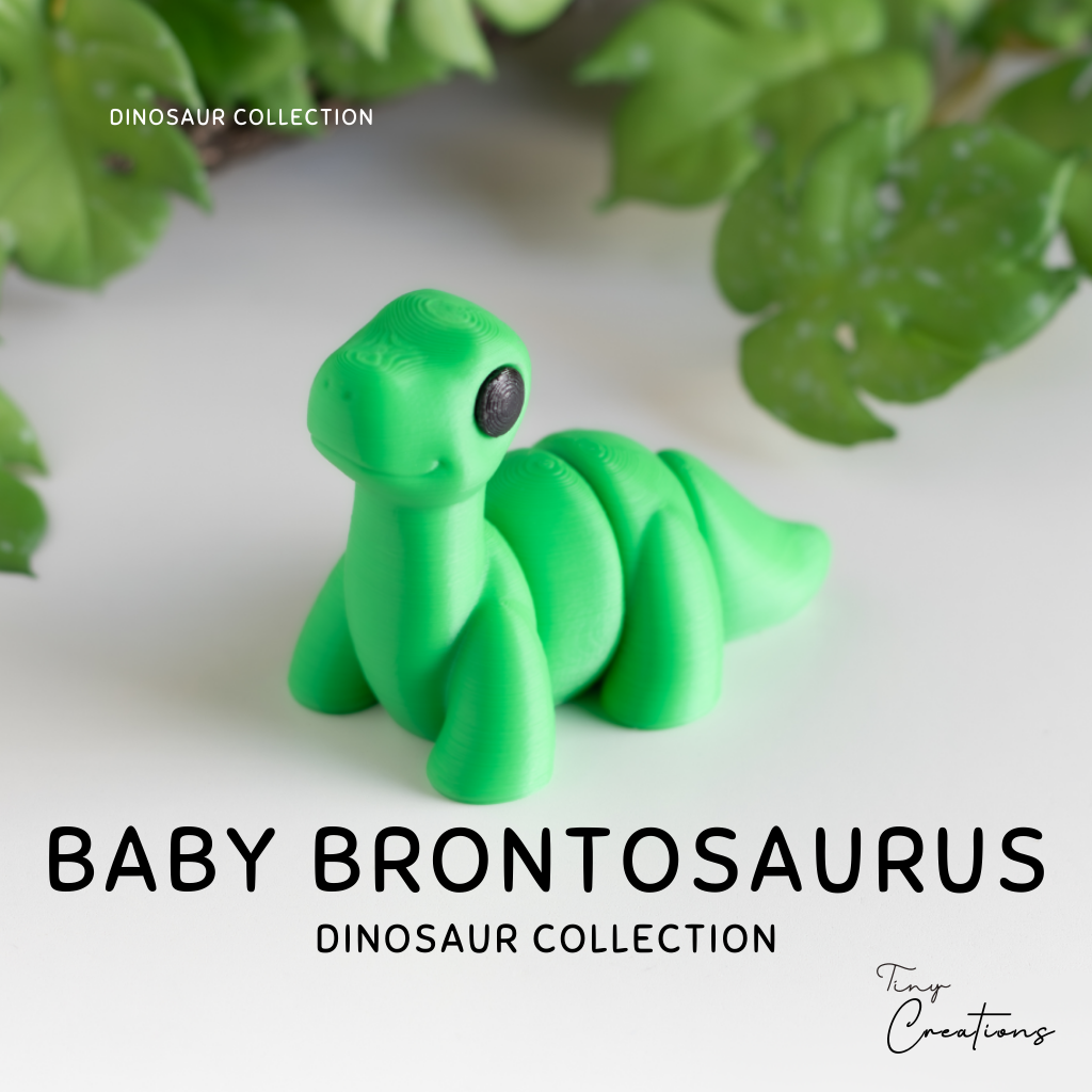 Dinosaur Collection Keychain