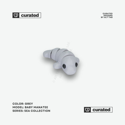 Collectible Fidget Toy Keychain